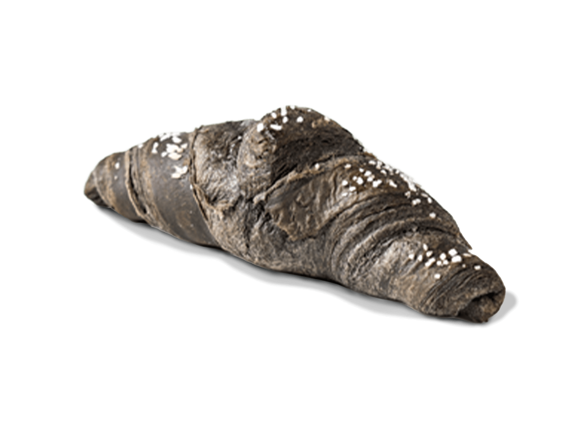 PLAIN VEGAN CORNETTO  CHARCOAL 